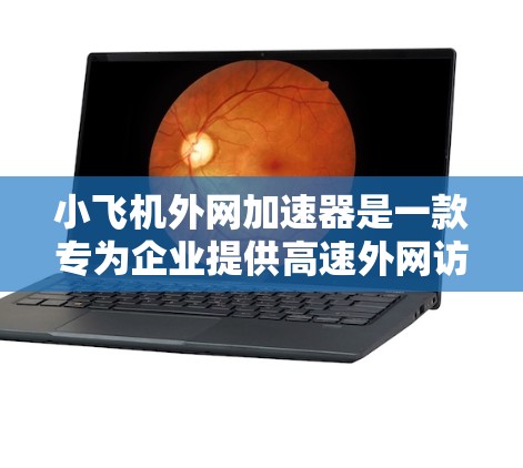 小飞机外网加速器是一款专为企业提供高速外网访问服务的解决方案,旨在优化访问外部网络资源的性能。以下是对该加速器的详细分析 小飞机外网加速器是一款专为企业提供高速外网访问服务的解决方案,旨在优化访问外部网络资源的性能。以下是对该加速器的详细分析