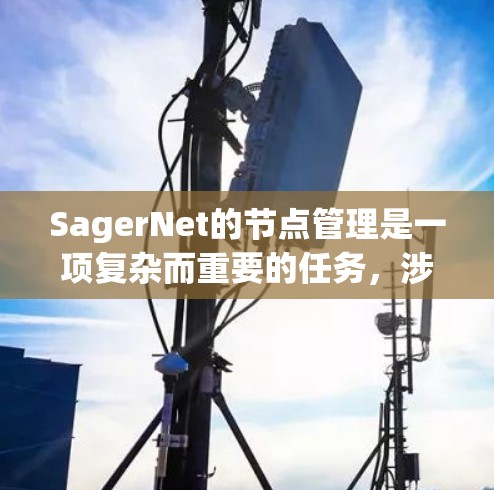 SagerNet的节点管理是一项复杂而重要的任务，涉及多个关键环节。以下是对SagerNet节点管理的详细分步说明
