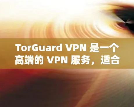 TorGuard VPN 是一个高端的 VPN 服务,适合需要高安全性和隐私保护的用户。以下是对 TorGuard VPN 的详细分析和建议 TorGuard VPN 是一个高端的 VPN 服务,适合需要高安全性和隐私保护的用户。以下是对 TorGuard VPN 的详细分析和建议
