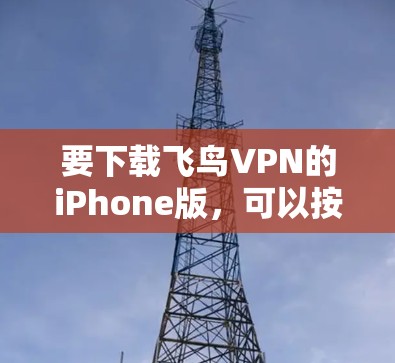 要下载飞鸟VPN的iPhone版，可以按照以下步骤操作