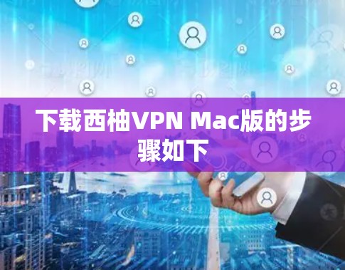 下载西柚VPN Mac版的步骤如下 下载西柚VPN Mac版的步骤如下