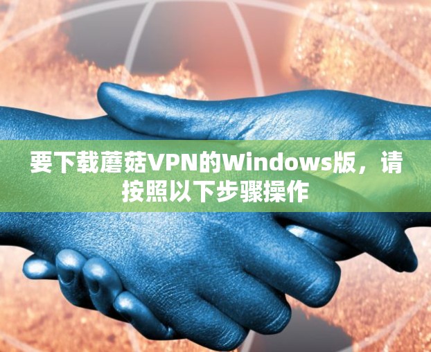 要下载蘑菇VPN的Windows版，请按照以下步骤操作