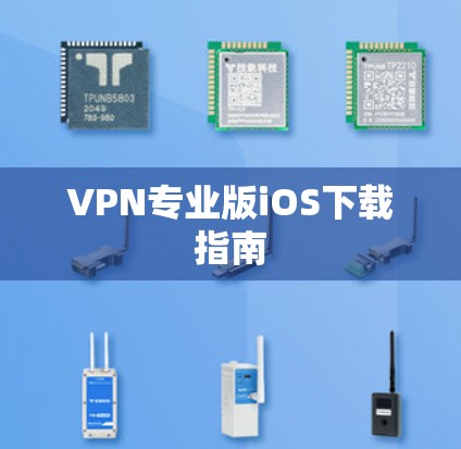 VPN专业版iOS下载指南 VPN专业版iOS下载指南