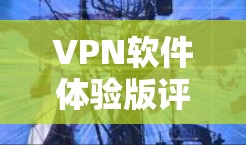 VPN软件体验版评测,性能与安全的平衡之道 VPN软件体验版评测,性能与安全的平衡之道