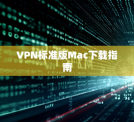 VPN标准版Mac下载指南 VPN标准版Mac下载指南