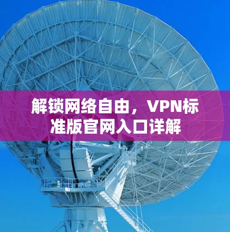 解锁网络自由,VPN标准版官网入口详解 解锁网络自由,VPN标准版官网入口详解