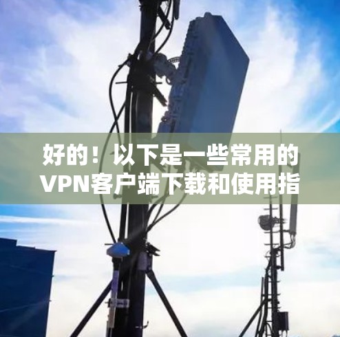 好的！以下是一些常用的VPN客户端下载和使用指南，供您选择