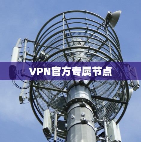 VPN官方专属节点 VPN官方专属节点